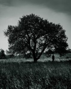 Individual standing under an oak tree in a field